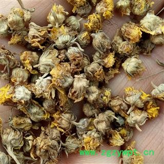 野菊花 过筛过风机颗粒货 产地 河南省平顶山市汝州市图4