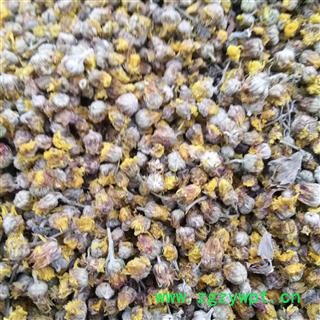 野菊花 过筛过风机颗粒货 产地 河南省平顶山市汝州市图2