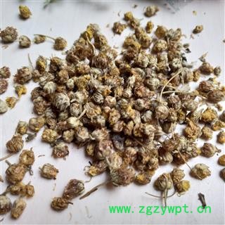 野菊花 药用野菊花统货 产地 湖北省图2