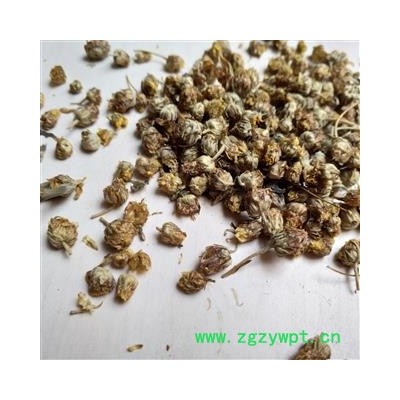 野菊花 药用野菊花统货 产地 湖北省