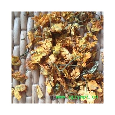 金莲花 金莲花茶统货  泡茶用金莲花 产地 内蒙古自治区