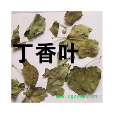 吉康药业丁香叶 药用丁香叶 非调料香叶 非石楠叶