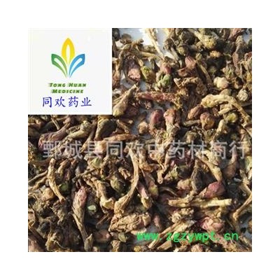 【统货款冬花净货】@【同欢药材】中药材批发供应  规格齐全 量大从优  产地 甘肃省