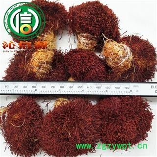 【满包邮】伊朗藏红花带黄根扎花货适合抓药 配方 泡酒 性价比高 散装伊朗产地直供西红花沁信源中药批发图2