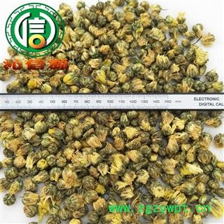 【满包邮】胎菊花微开统货散装浙江产地直供菊花沁信源中药批发图2