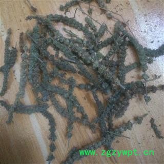 荆芥穗 荆芥穗统货 产地直销 批发各种规格名贵药材图2