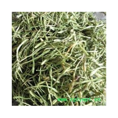 金银花 山银花 青  产地 湖南省