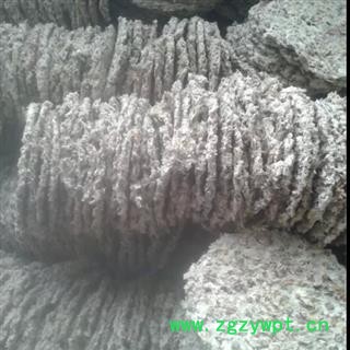 菊花 杭白菊菊花饼 产地 浙江省图3