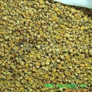 野菊花 菊花  选 产地 河南省图3