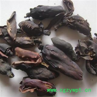 厚朴花包化验纯正品 正品厚朴花 统 产地 浙江省图2