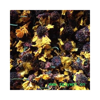 雪菊 菊花 茶用 选 产地 新疆维吾尔自治区