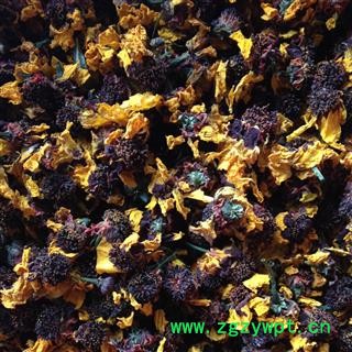 雪菊 菊花 茶用 选 产地 新疆维吾尔自治区图2