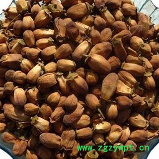 吉康药业玳玳花 代代花 今年新货图2