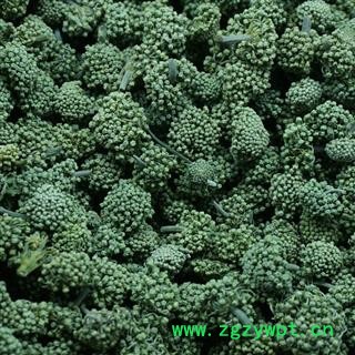 吉康药业三七花 田七花 选装新货上市颜色好 产地 云南省文山壮族苗族自治州文山县图2