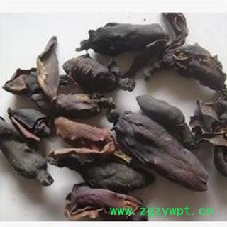 吉康药业中药材厚朴花 今年新货图2