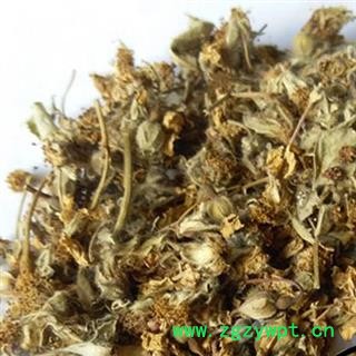 吉康药业中药材白残花 蔷薇花 产地山东图2