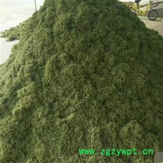 金银花 一级 蜜二花 产地 河南省新乡市市辖区图4