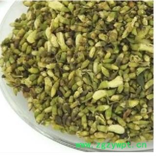 槐米 青 产地 新疆维吾尔自治区图2