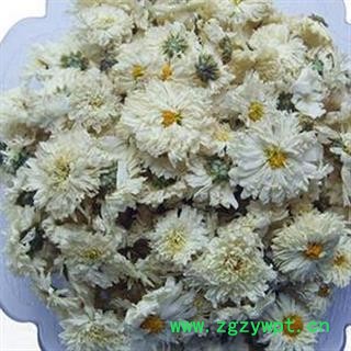 贡菊 一级 选装 产地 安徽省黄山市市辖区图2