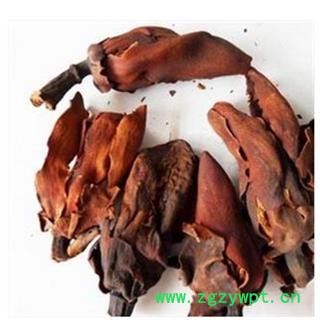 厚朴花 统 产地 浙江省图2