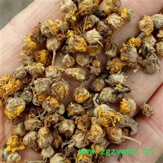 野菊花精选颗粒 产地 河南省平顶山市汝州市图4