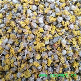 野菊花精选颗粒 产地 河南省平顶山市汝州市图2