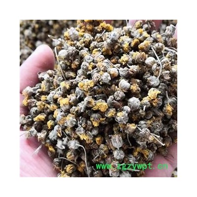 野菊花精选颗粒 产地 河南省平顶山市汝州市