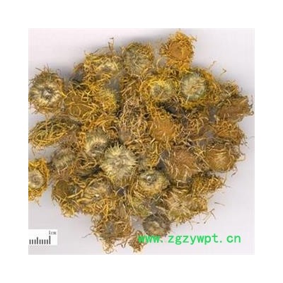 旋覆花 精选野生无硫 产地 河南省平顶山市汝州市