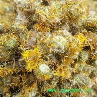 旋覆花 精选野生无硫 产地 河南省平顶山市汝州市图3