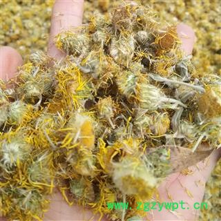 旋覆花 精选野生无硫 产地 河南省平顶山市汝州市图2