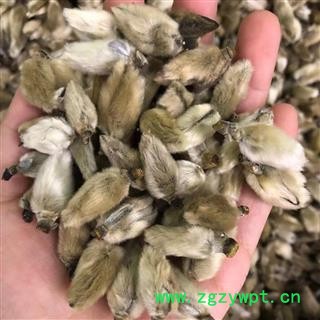 辛夷 辛夷大桃无柄选货 产地 河南省  买好药找娟子图2