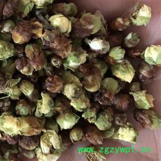 梅花 绿梅花 开花率3% 产地 浙江省舟山市 娟子中药行图4