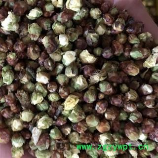 梅花 绿梅花 开花率3% 产地 浙江省舟山市 娟子中药行图2