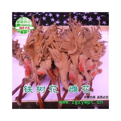 铁树花 铁树花雌花 铁树花母花 选货 产地 四川省成都市 买好药找娟子