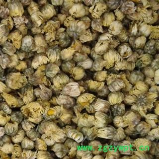 菊花 正品桐乡胎菊王 产地 浙江省 娟子中药行图2