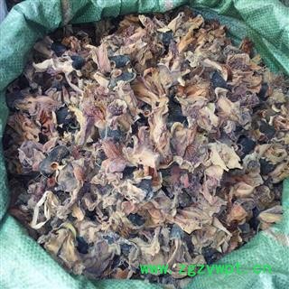 木棉花 统货 产地 广西壮族自治区凯捷中药图3