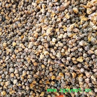 野菊花 选货  颗粒货 产地 河南省图2