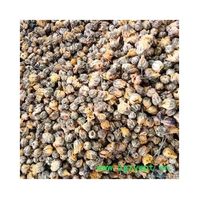 野菊花 选货  颗粒货 产地 河南省