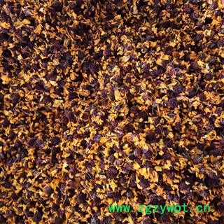 雪菊 菊花 凯捷中药 产地 新疆维吾尔自治区巴音郭楞蒙古自治州若羌县图2