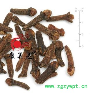 丁香 公丁香个 产地 海外 凯捷中药图2