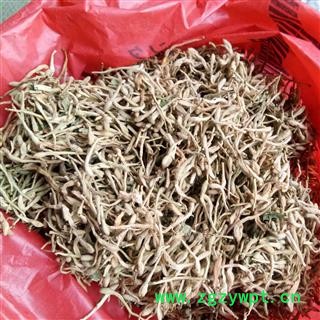 金银花 金银花白花统货 褪色 产地 河北省 抓方用图2