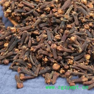 新辉药业正品中药材丁香 香料卤料调味品 火锅底料 公丁香图2