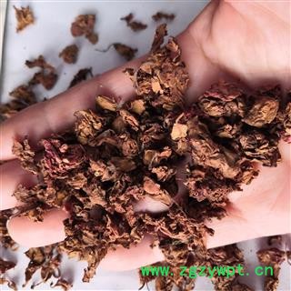 新辉药业正品凤仙花  指甲花 急性子花图2