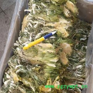 新辉药业野生霸王花 真实图拍  量天尺花 剑花 风雨花 霸王鞭图2