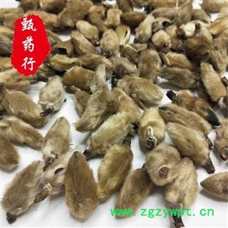 辛夷花 无硫统货 一手货源批发 产地河南 甄选药材行 为你真选好药材图4