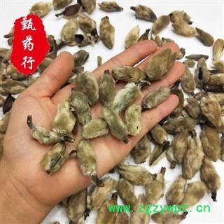 辛夷花 无硫统货 一手货源批发 产地河南 甄选药材行 为你真选好药材图3