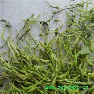 山银花 金银花选货 产地 湖南省 买好药找娟子 专业批发图2