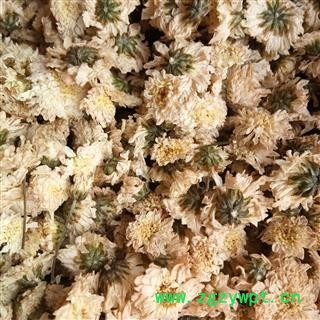 菊花 七月菊 产地 贡菊 浙江省图3