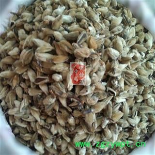 辛夷花 辛夷花选货 产地 甘肃省图2