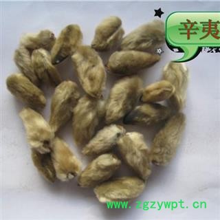 辛夷花 辛夷花选货 产地 甘肃省图3